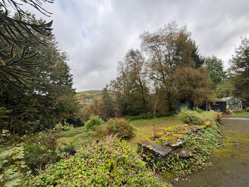 House in Tregaron - More