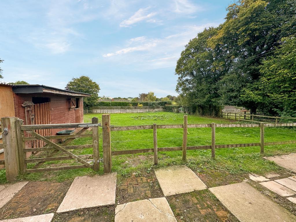 Rear garden paddock (2)