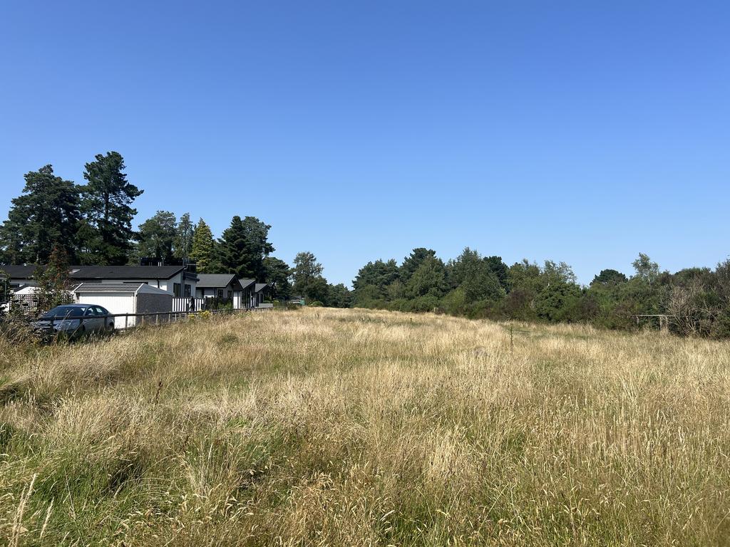 Heathland