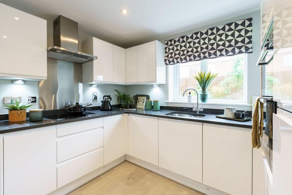 Modern easy to clean kitchen