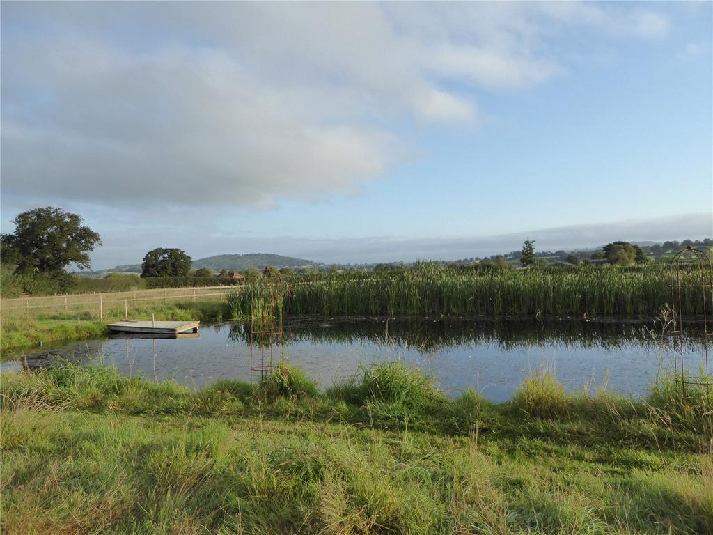 Meadow &amp; Pond