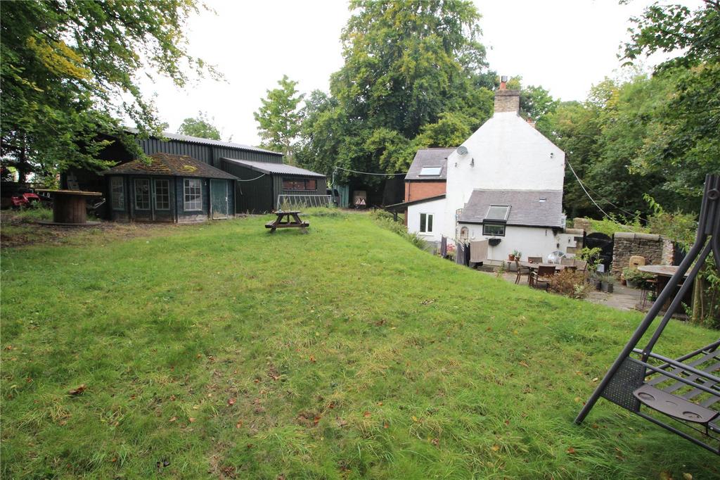 Garden Rear