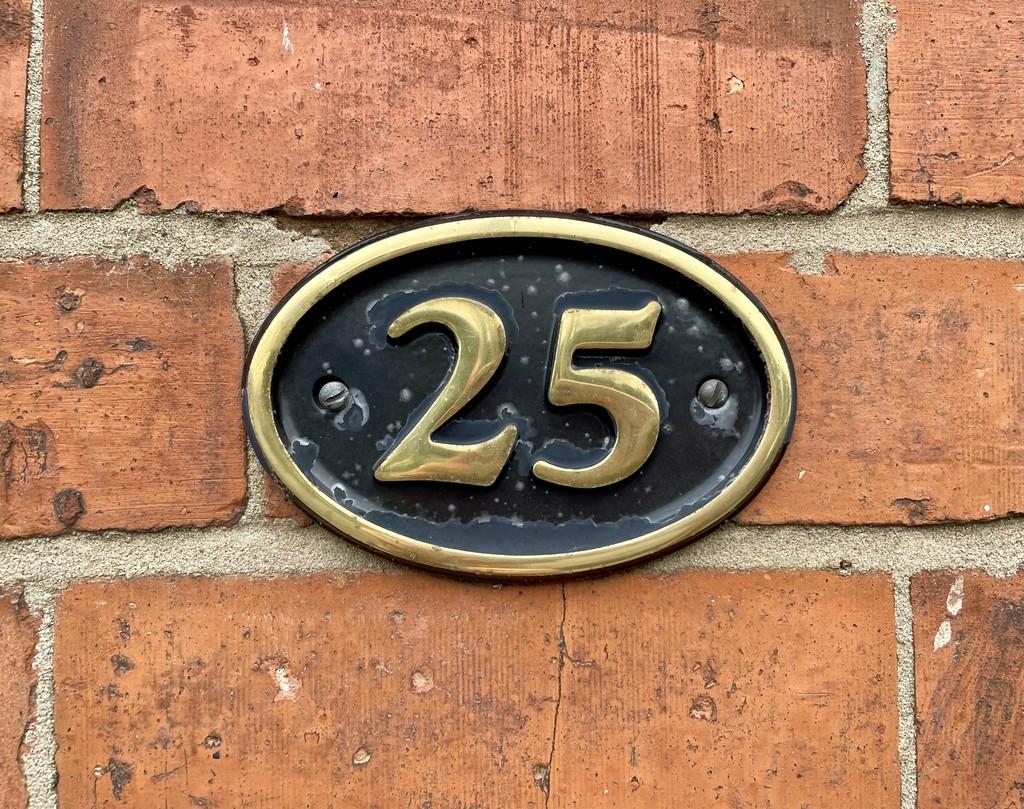 Img 9485