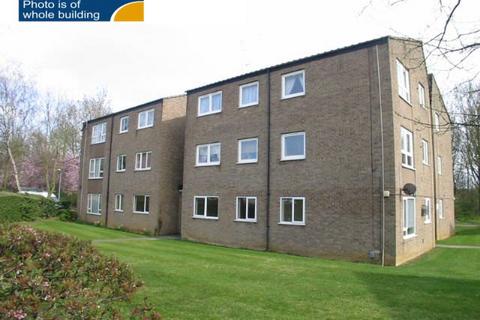 undefined, Deerleap: Bretton