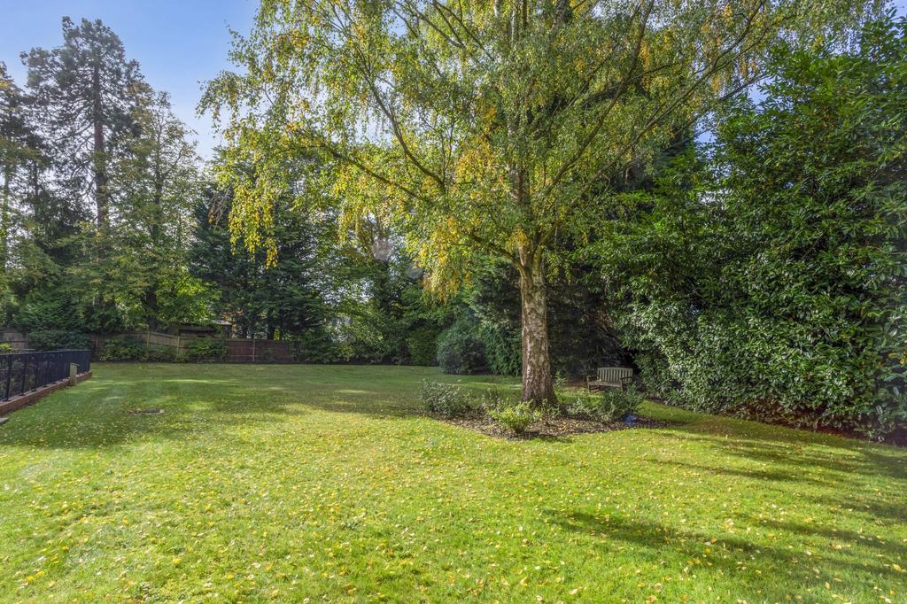 Communal Garden