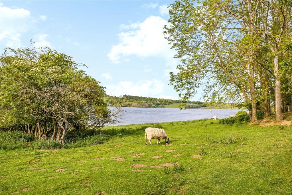 Rutland Water