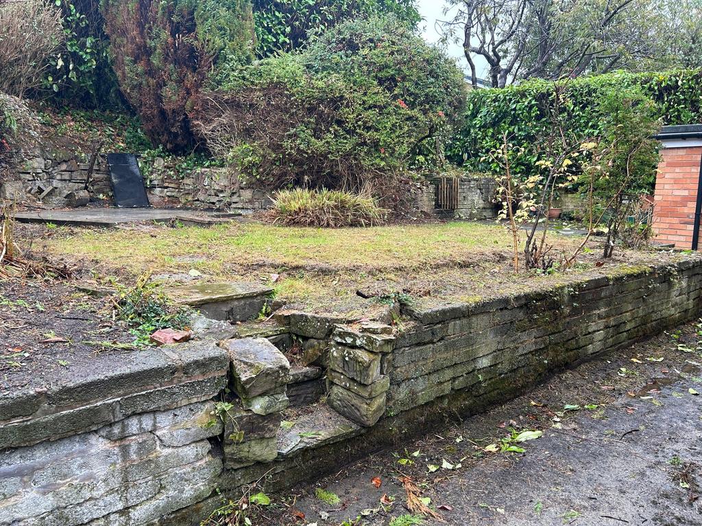 Garden T202409261317.jpg
