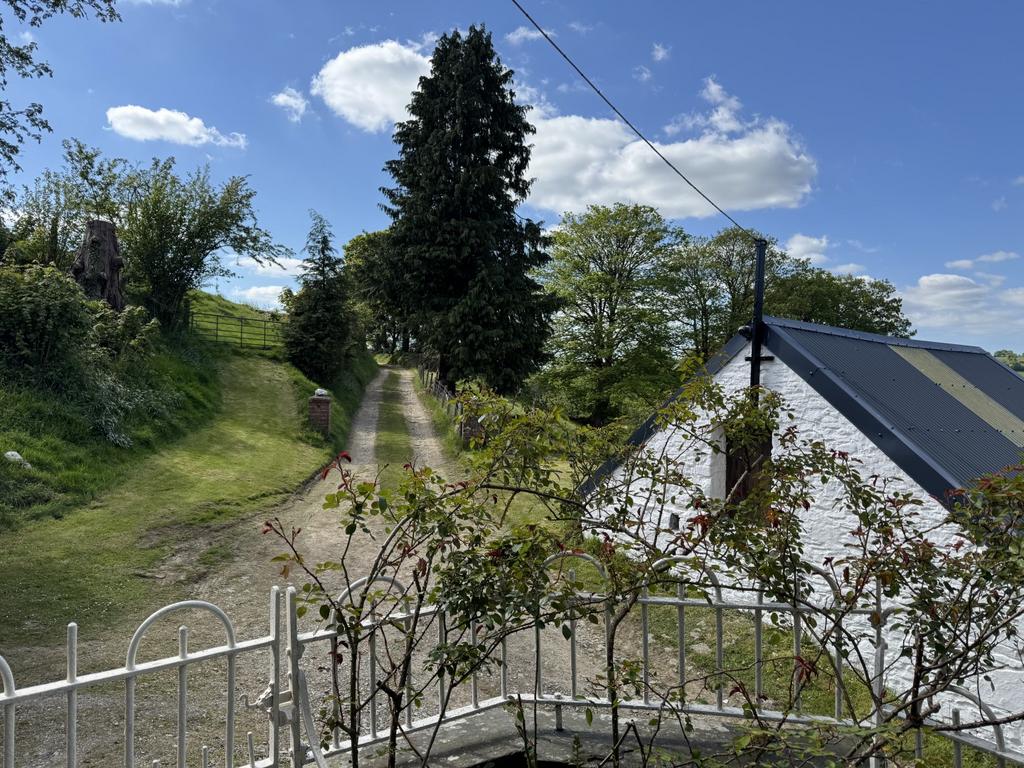 The Grounds