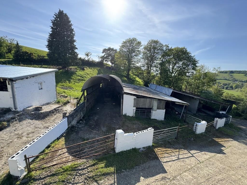 The Farmyard