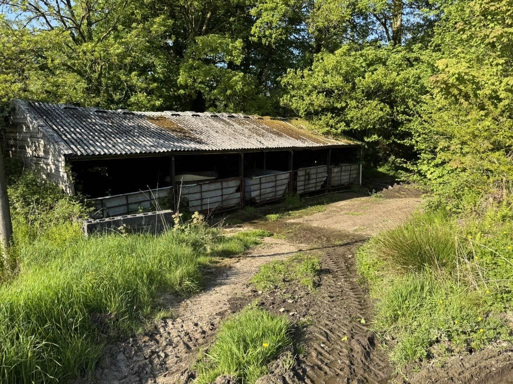 The Farmyard