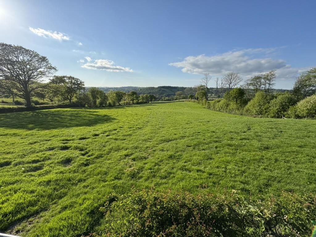 The Land