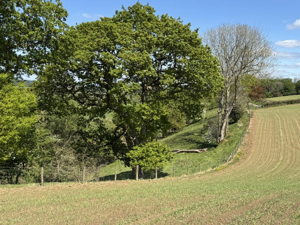 The Land