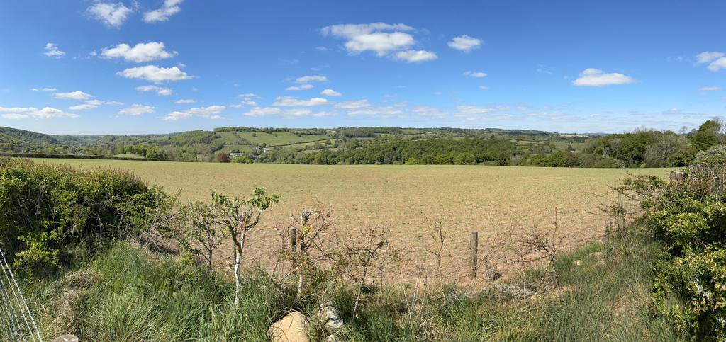 The Land