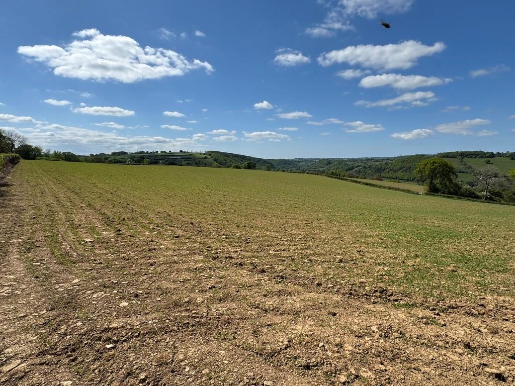 The Land
