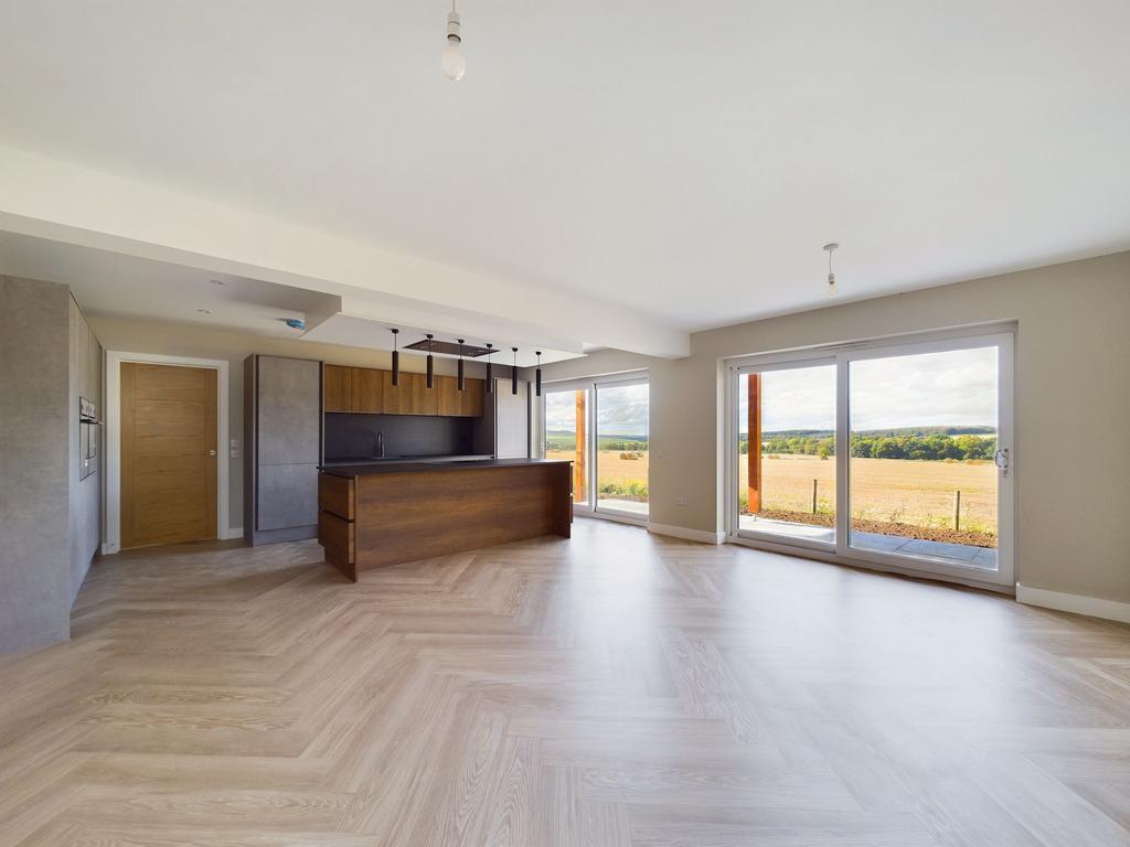 Kitchen/Living Area