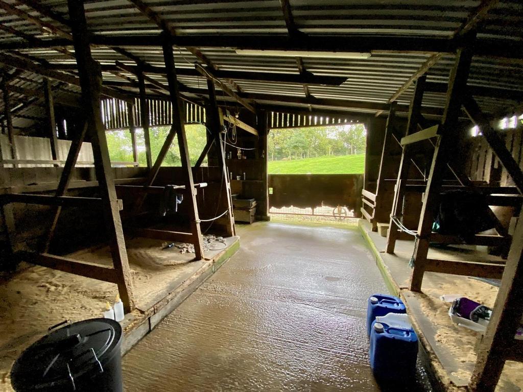 Shed 1.jpg