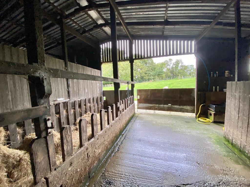 Shed 2.jpg