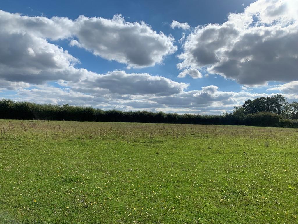 Mileham 6