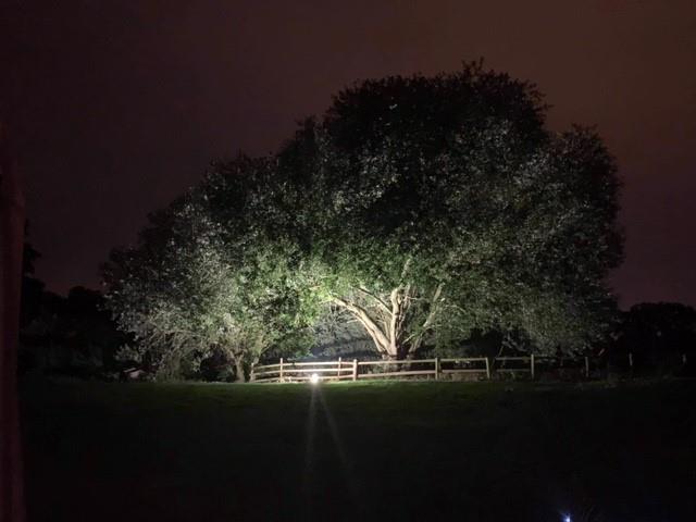 Hay Barn view at Night.jpg