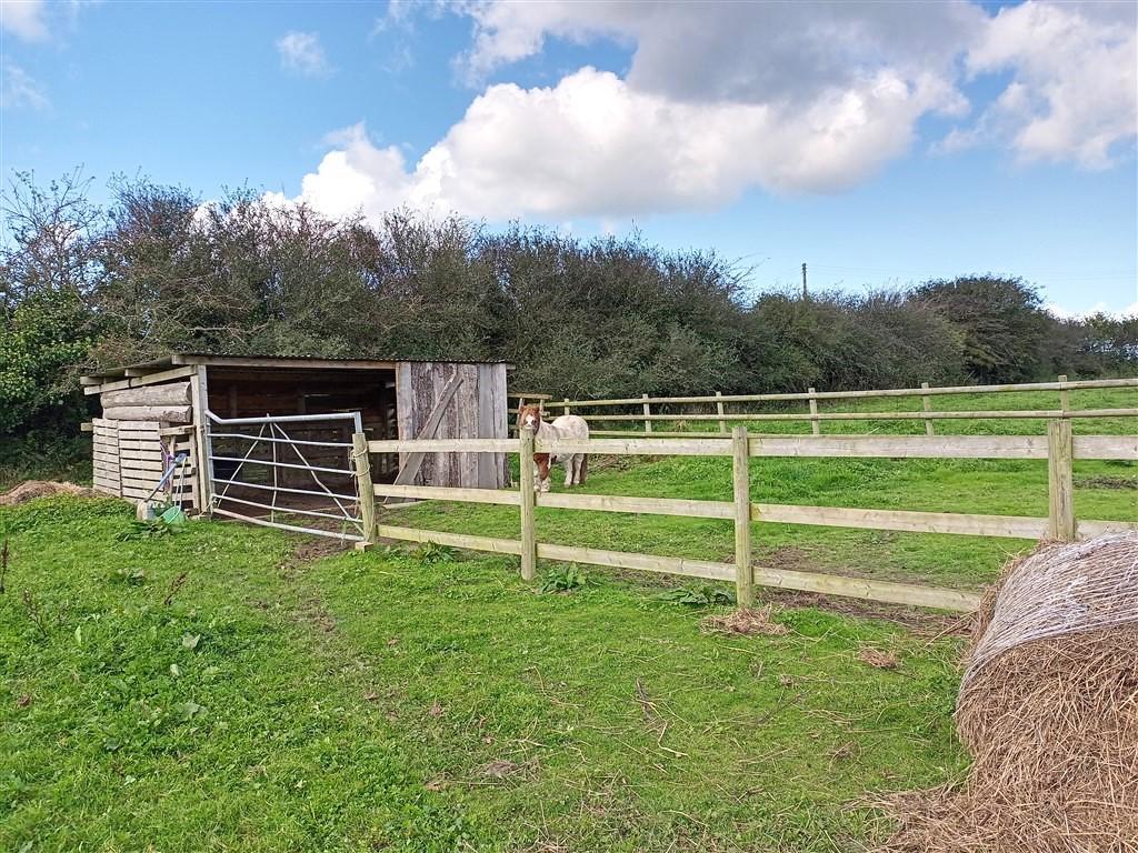 Field Shelter &amp; Enclosure