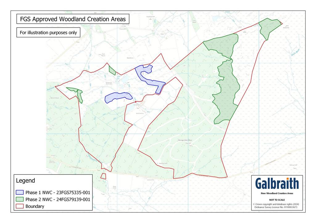 Fgs New Woodland