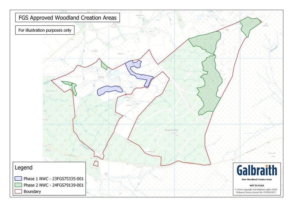 FGS New Woodland