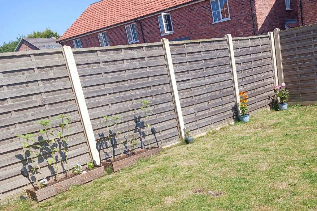 Garden1