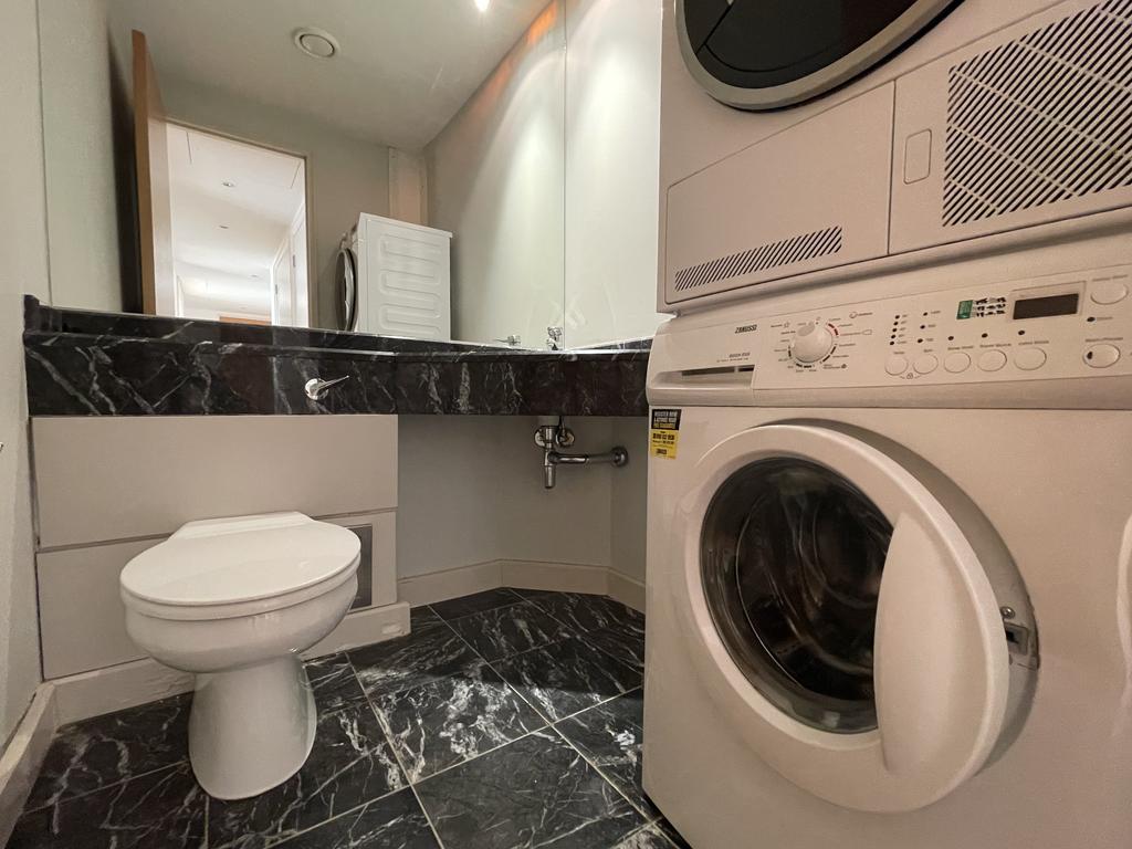 Guest WC and laundry appliances