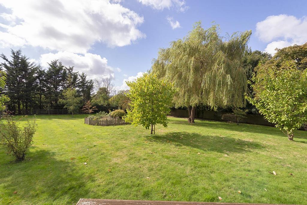 Dingley Dell28.jpg