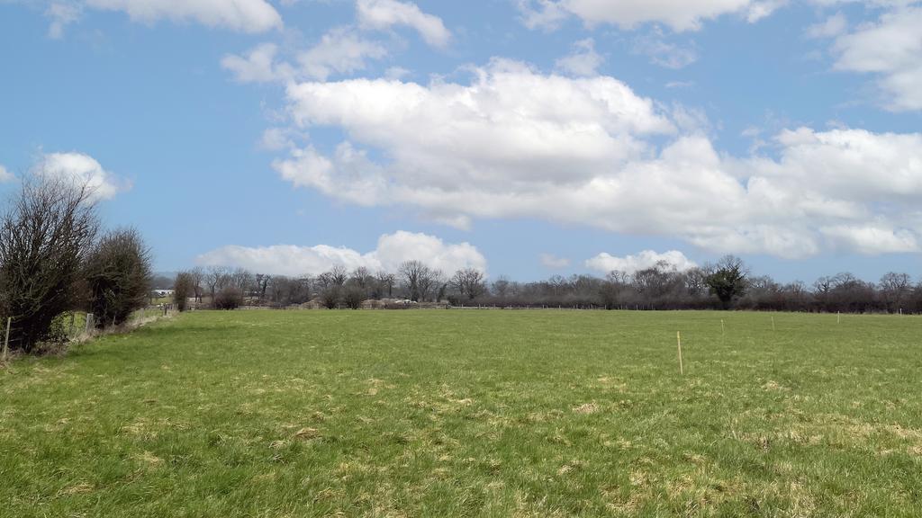 Flat grazing land for sale in Newchapel,...