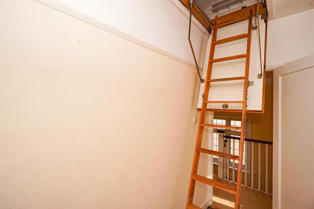 DSC04136 Alto.jpg