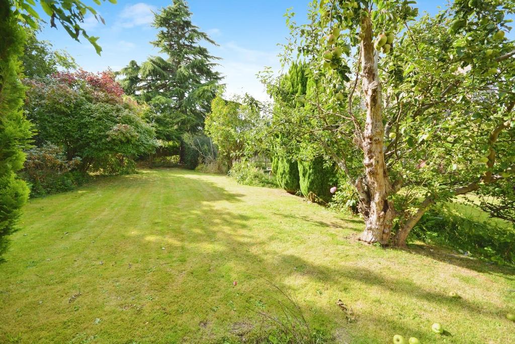 C9d1cf88-DSC 0181.JPG