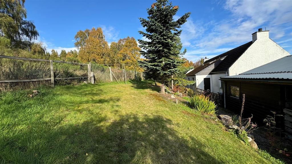 Rear garden.jpg