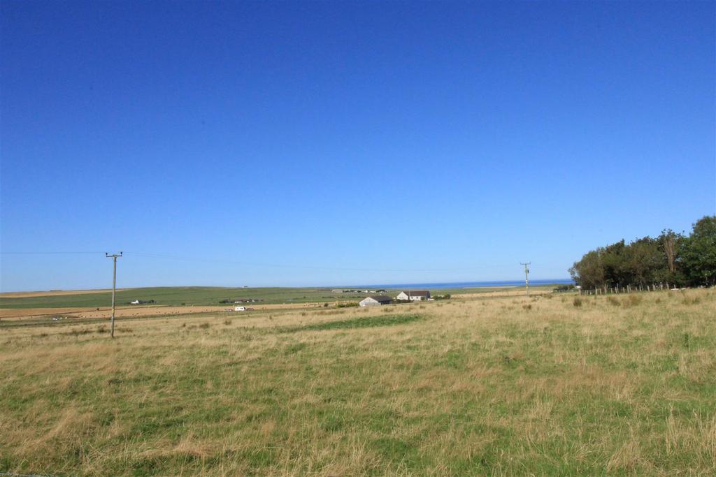View.jpg