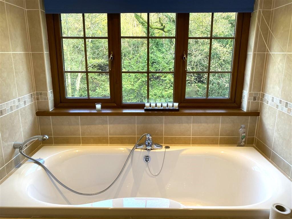 Bath With View