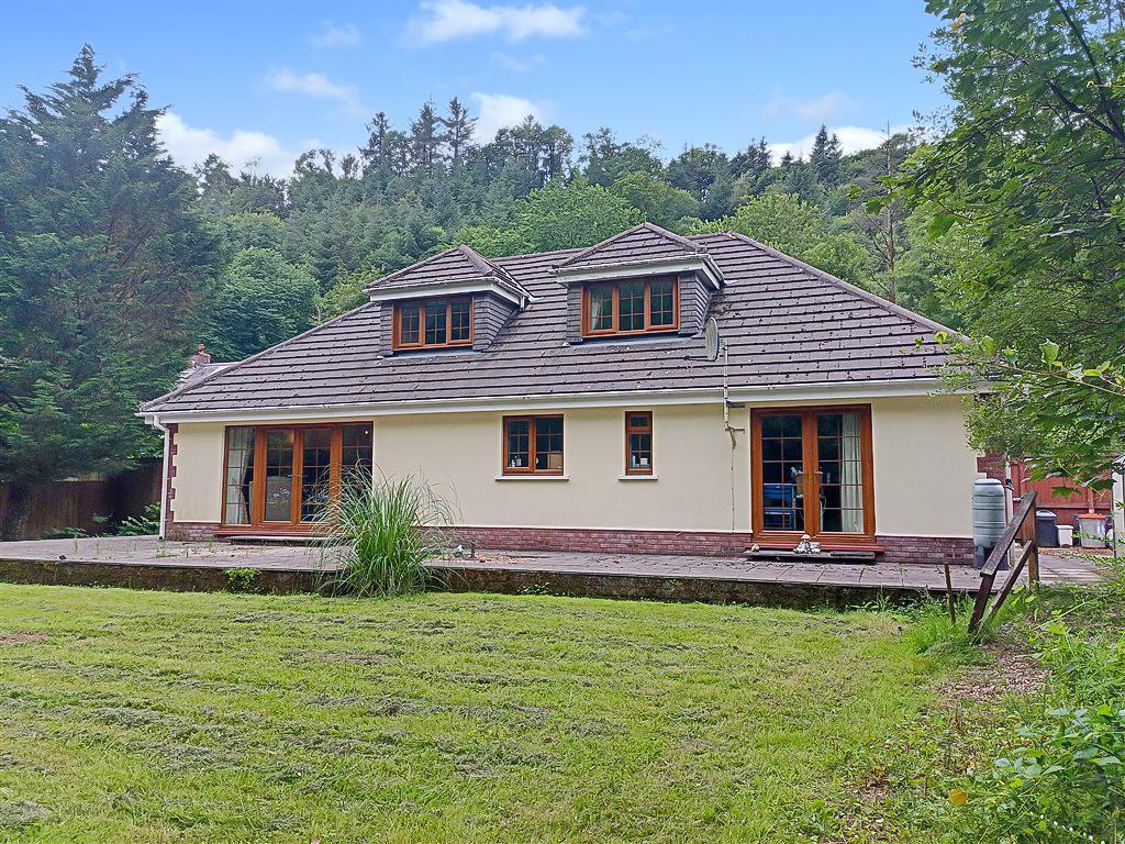 Rear View