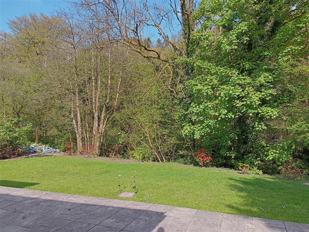 Rear Gardens