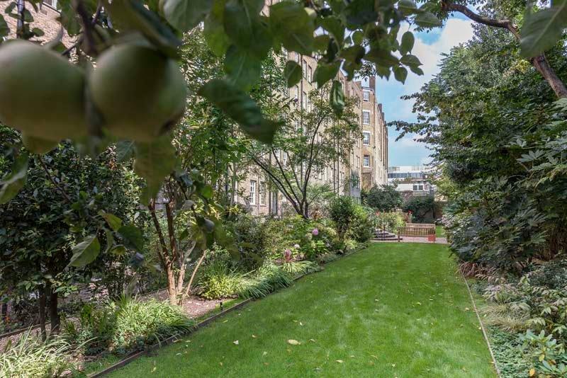 Communal Gardens