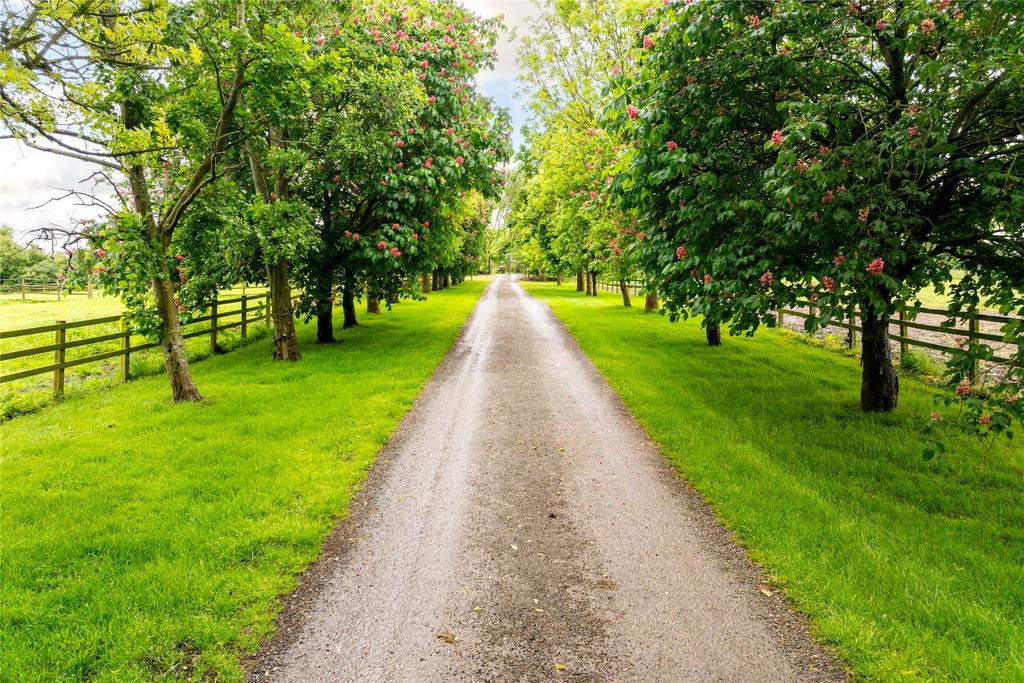 Driveway Approach