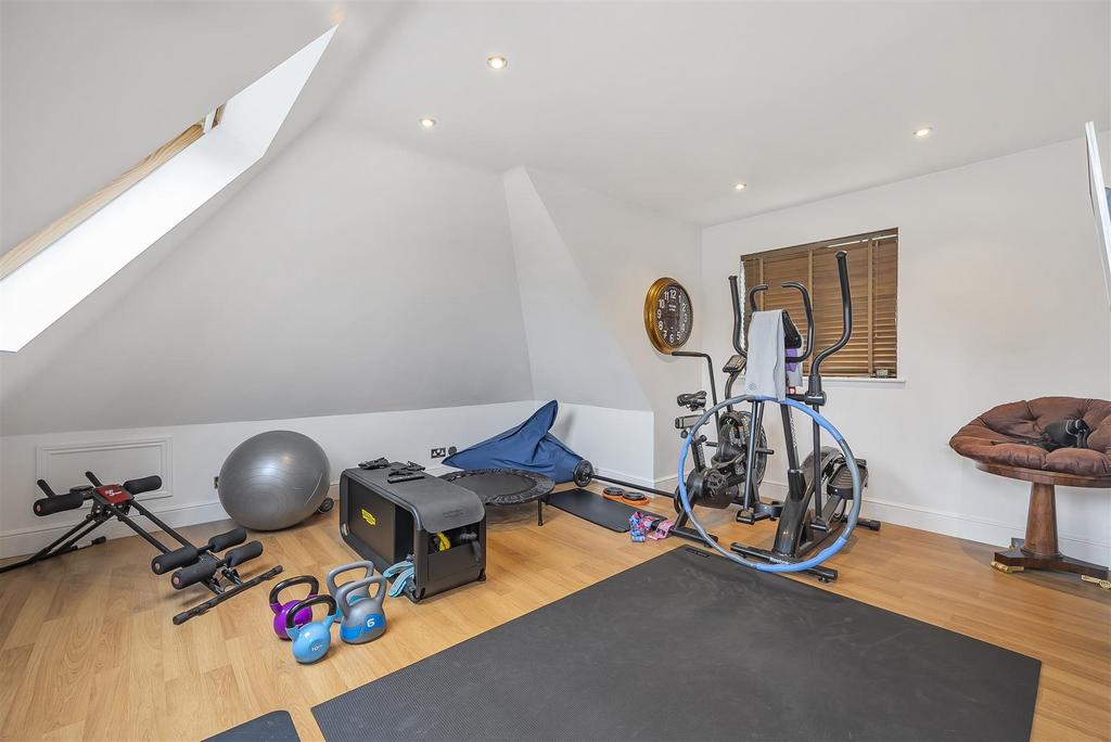 Bedroom/Gymnasium