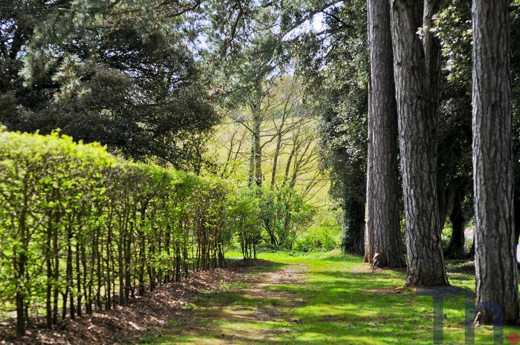 Communal Grounds &amp; Woodland.JPG