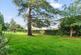 2 THE CEDARS 8.jpg