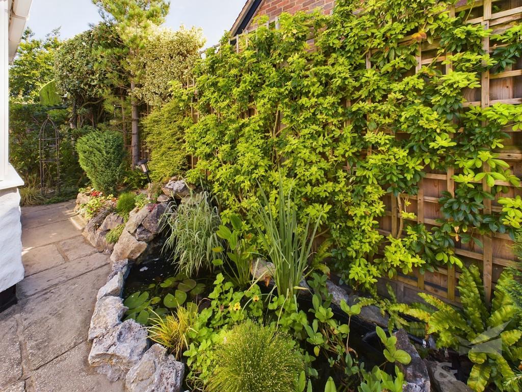 Garden 3