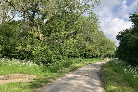 Land for sale, Sale Of Amenity Land (Woodland)