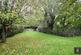 DSC 0406.jpg