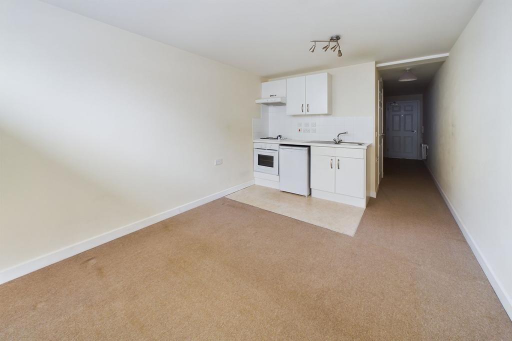 Kitchen/Living Area