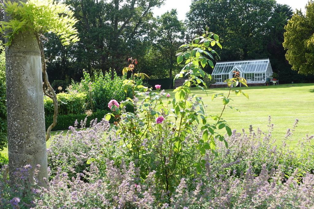 Summer Greenhouse View CW