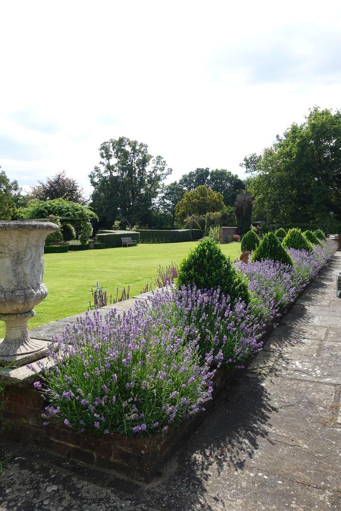 Lavender and Box Path CW