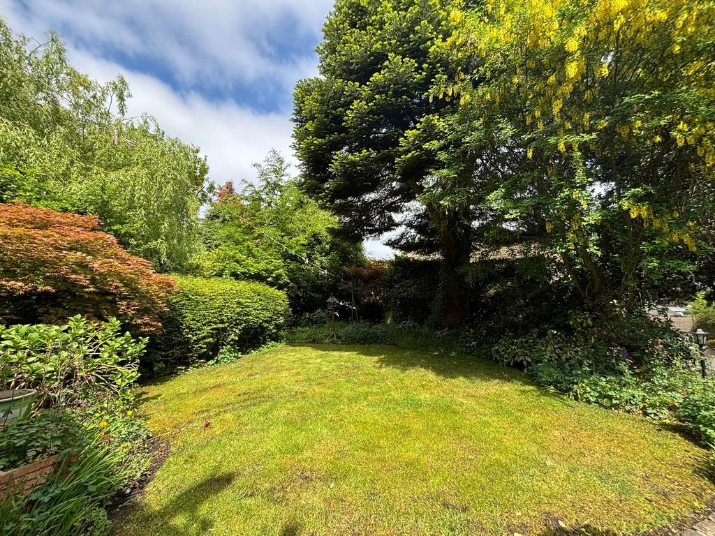 Back garden 2