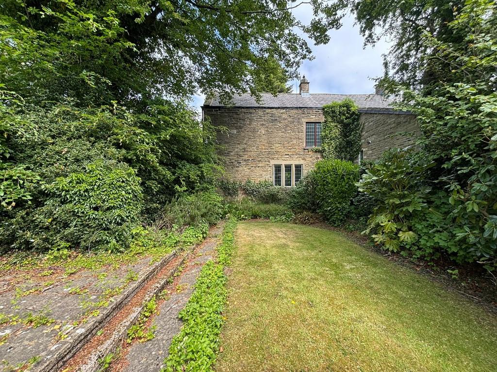 Back garden